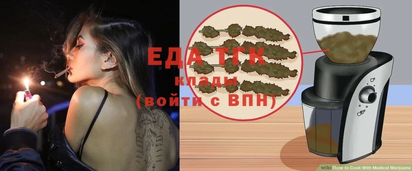 гашик Коряжма