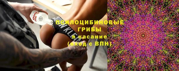 скорость Козловка