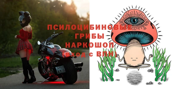 скорость Козловка
