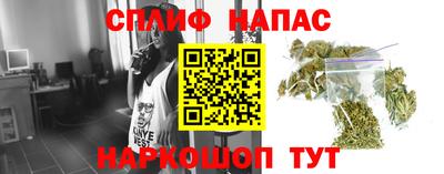 гашик Пыть-Ях