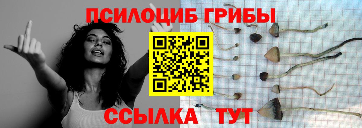 Псилоцибиновые грибы MAGIC MUSHROOMS  Вход с VPN  Псилоцибиновые грибы MAGIC MUSHROOMS  Углич 