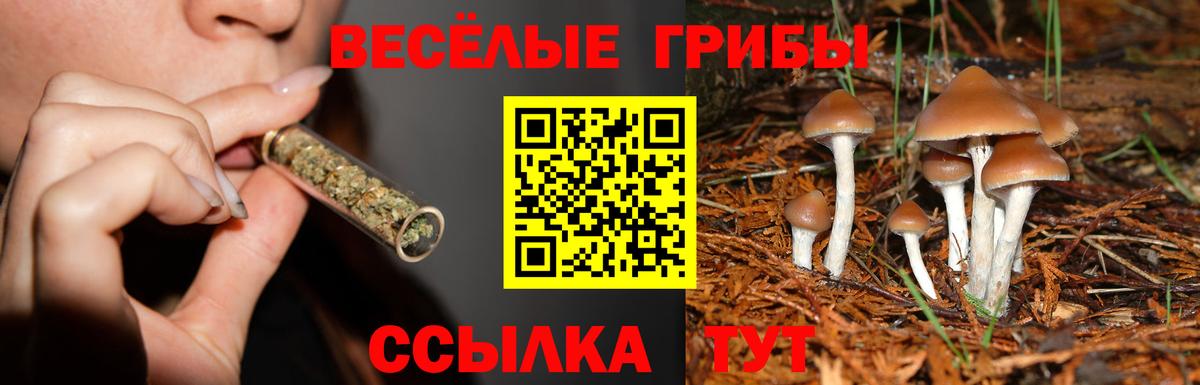Галлюциногенные грибы Cubensis Углич